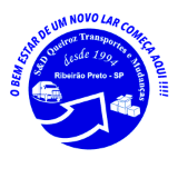 Logo Sergio e Danilo Mudanças e Transportes