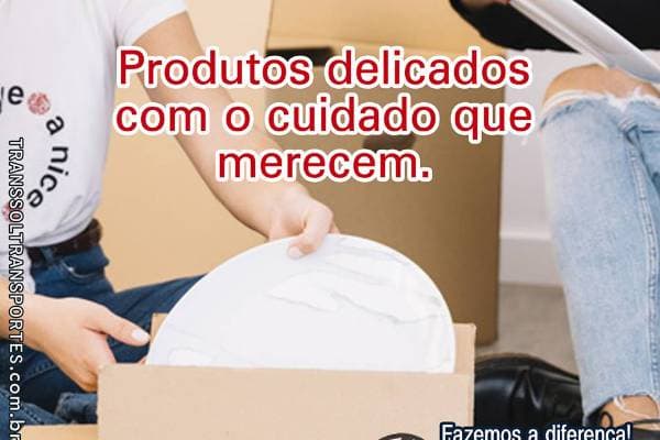 Foto 3 de Transsol Mudanças e Transportes