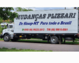 Logo Mudanças Plizzari